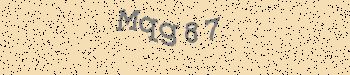 An error has occurred while getting captcha image