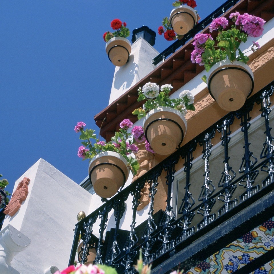 flower pots in Alicante Old Town