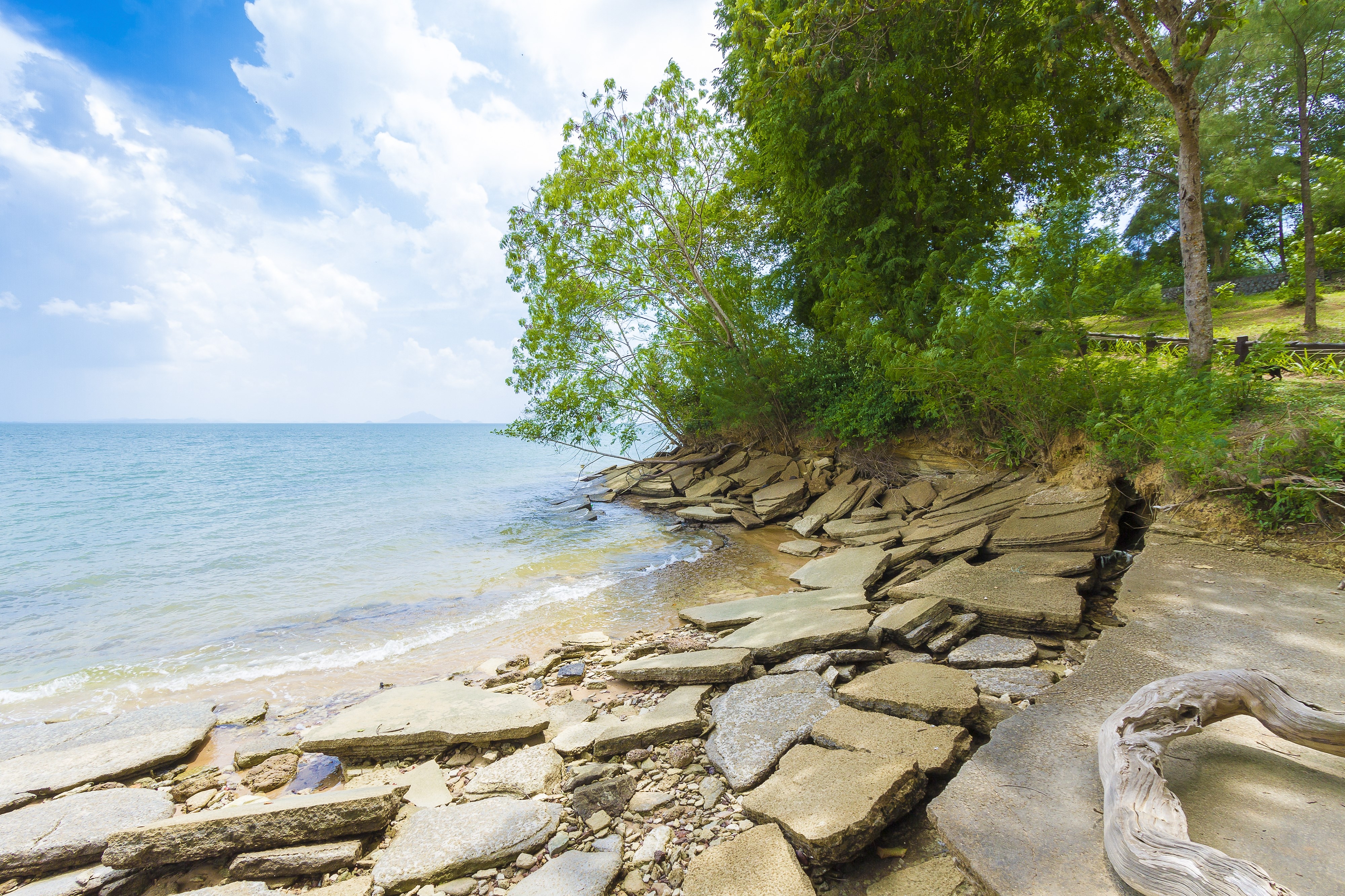 The shell graveyard Krabi , Fossil Shell Beach Krabi , Thailand
