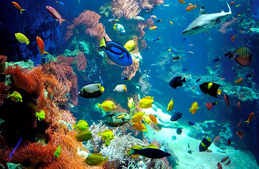 Aquarium at a museum of natural history in Salzburg, Austria