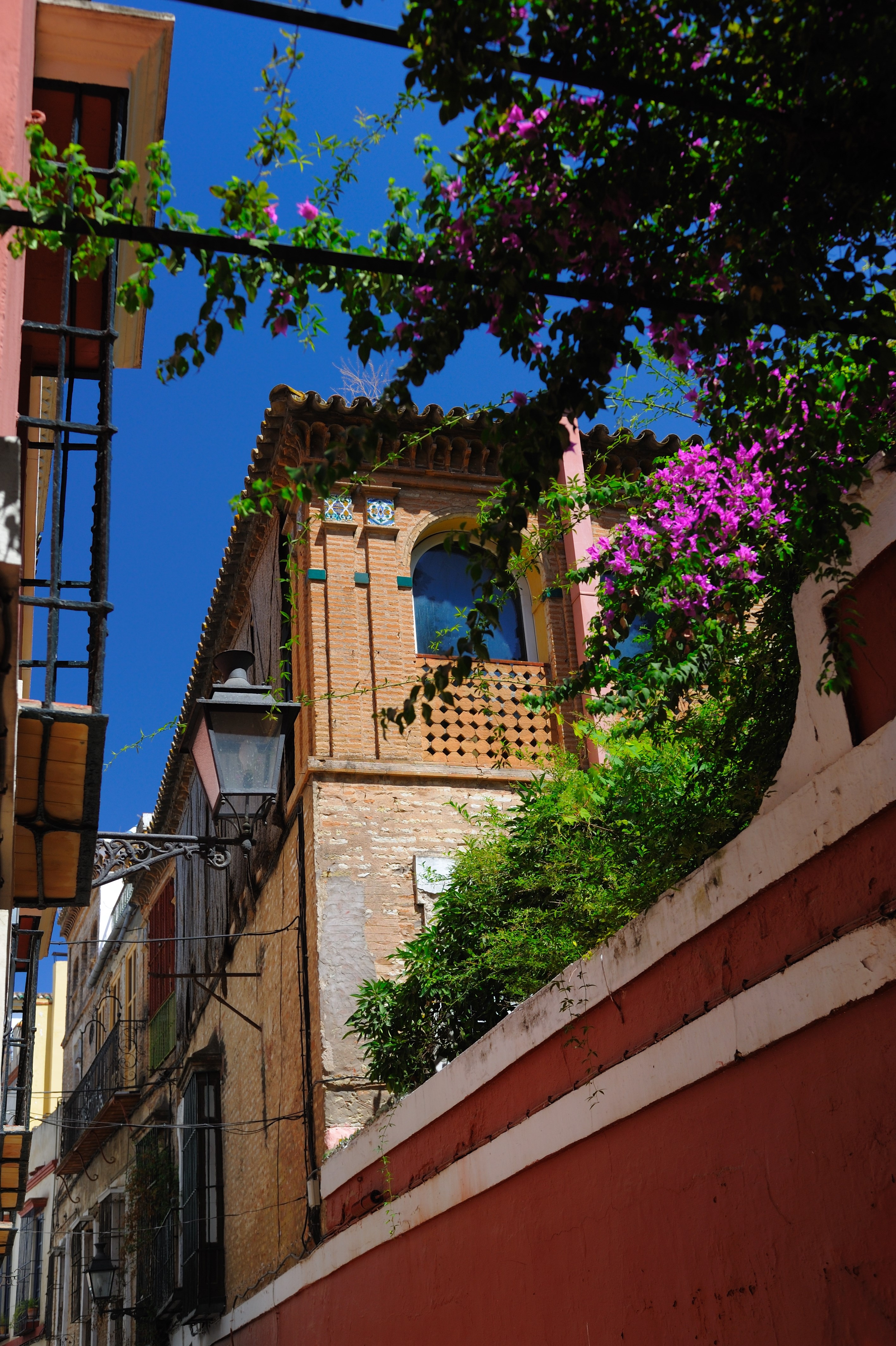 Typical andalusian houses at barrio Santa Cruz, Seville, Spain
