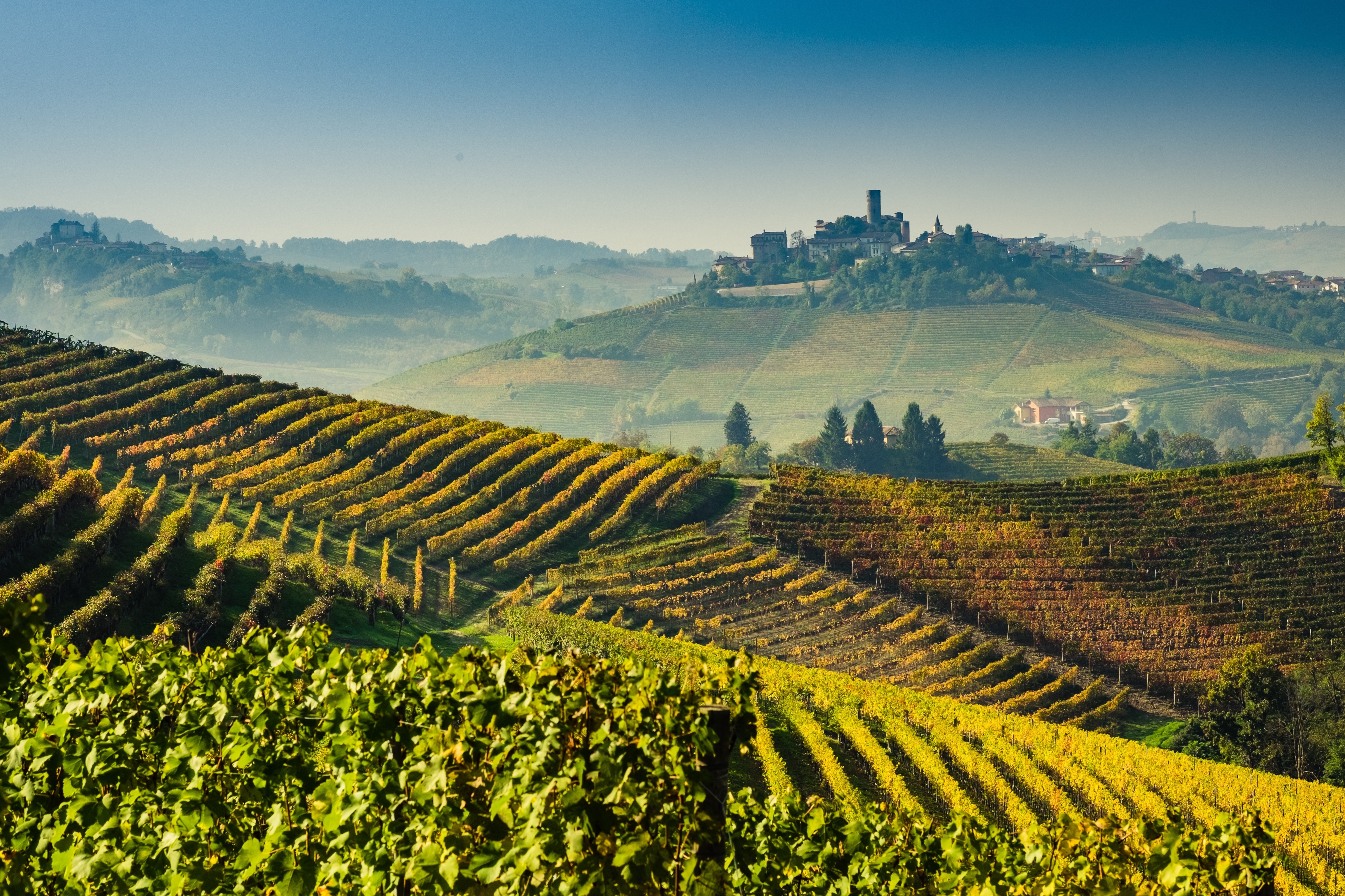 Langhe vineyards and hills in autumn