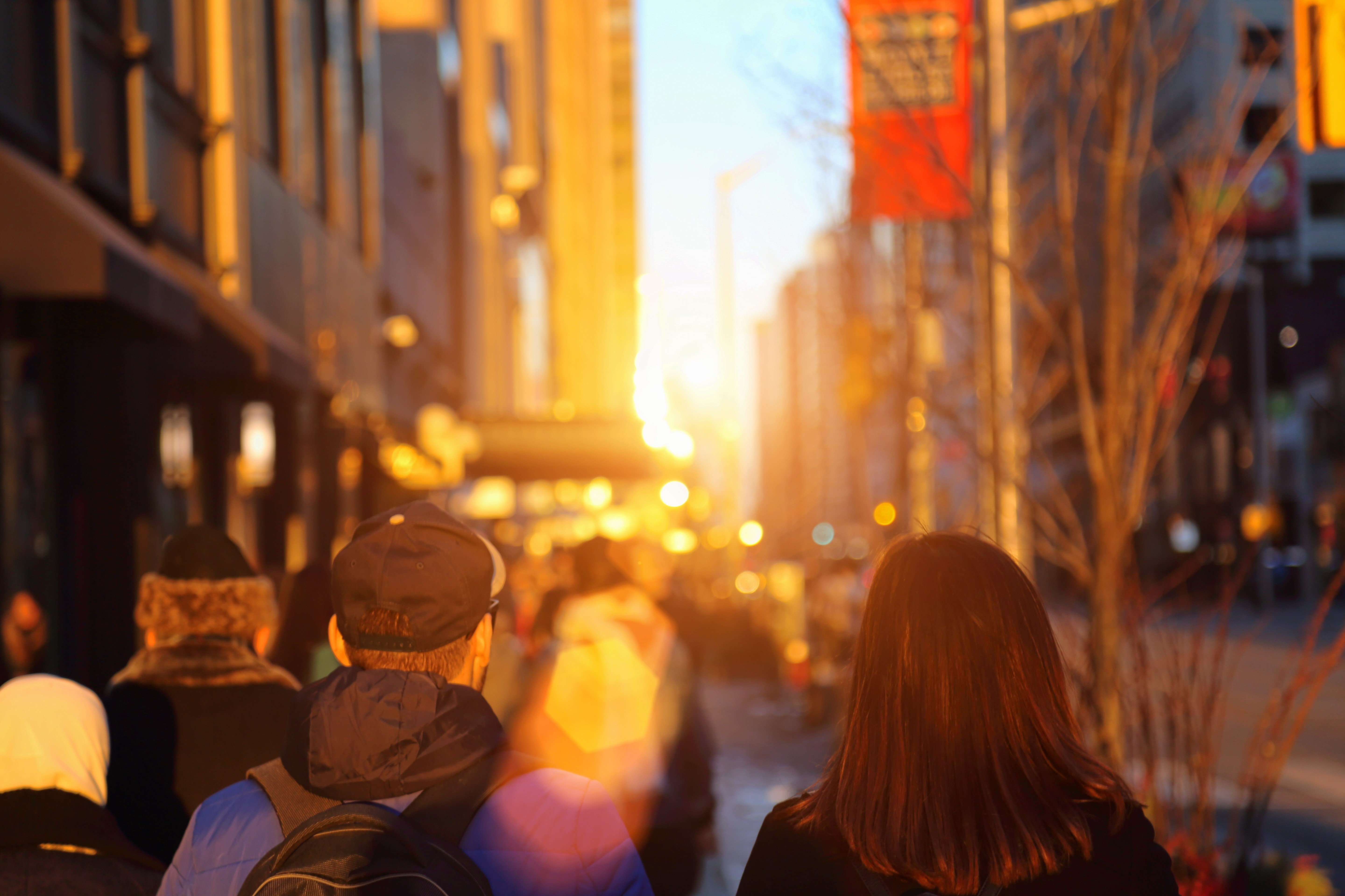 Toronto bloor street on a sunset