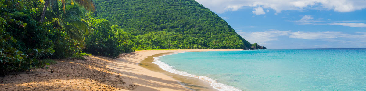 Great beach of Grand Anse near village of Deshaies, Guadeloupe, Caribbean Great beach of Grand Anse near village of Deshaies, Guadeloupe, Caribbean