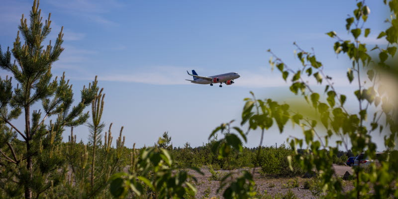 An airplane against the sky and green plants in the foreground An airplane against the sky and green plants in the foreground