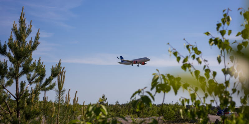 An airplane against the sky and green plants in the foreground An airplane against the sky and green plants in the foreground