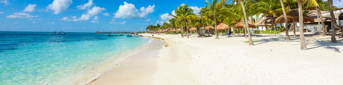 Beach with palms in mexico Beach with palms in mexico