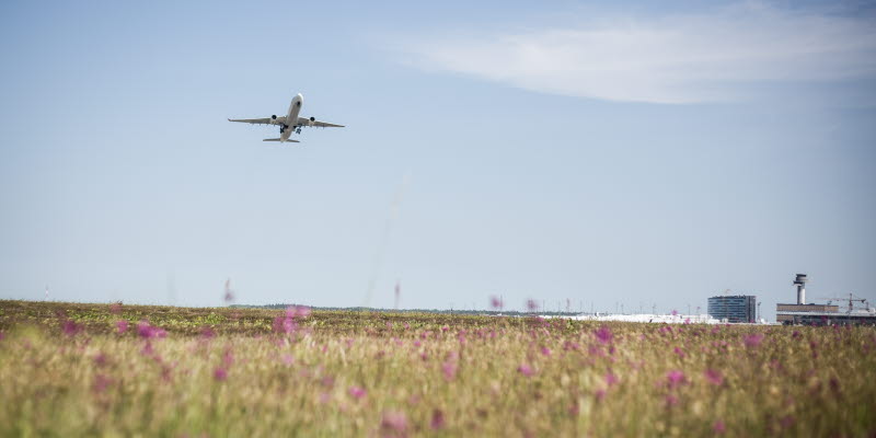 An aircraft above a meadow with purple flowers and Arlanda airport in the background An aircraft above a meadow with purple flowers and Arlanda airport in the background