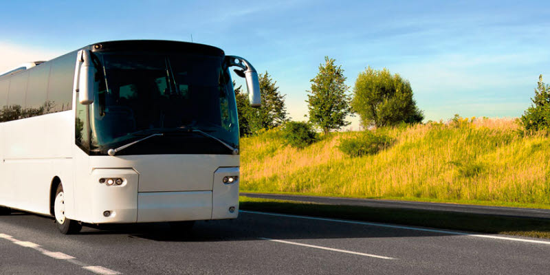 Bus and yellow flowers Bus and yellow flowers