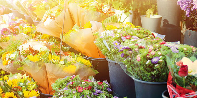 Flowers Flowers