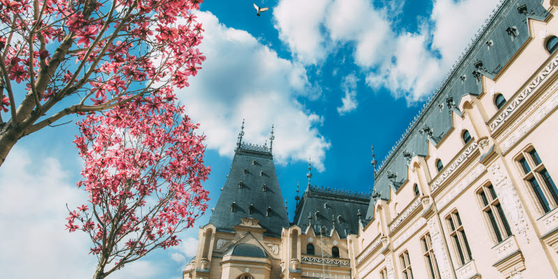 Trees and a building with blue sky and clouds. Trees and a building with blue sky and clouds.