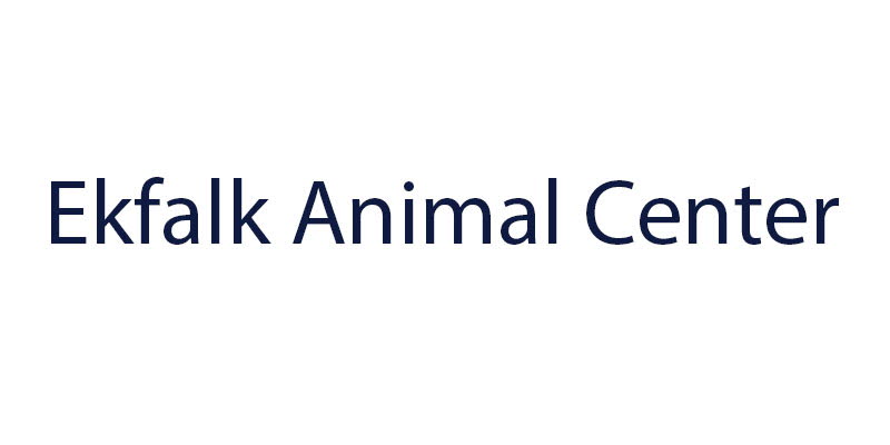 ekfalk animal center logo ekfalk animal center logo