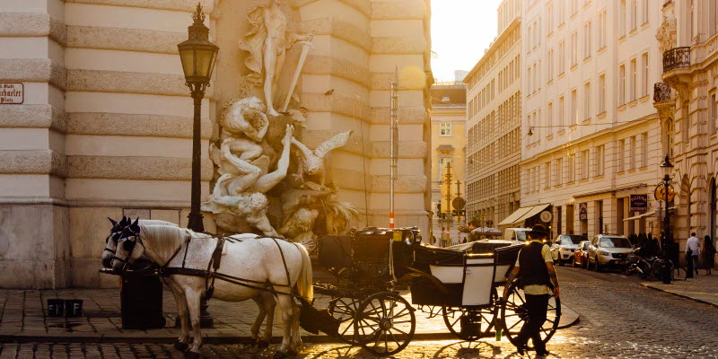 A horse standing in te streets of Vienna A horse standing in te streets of Vienna