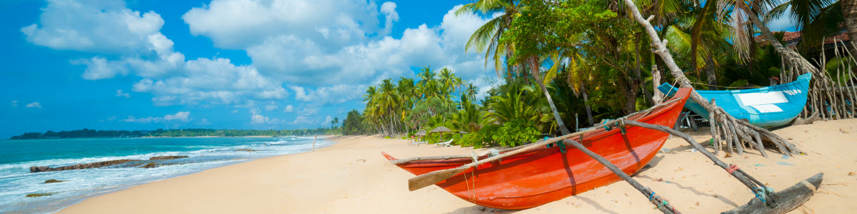 Beach with boats and palm trees in Sri Lanka Beach with boats and palm trees in Sri Lanka