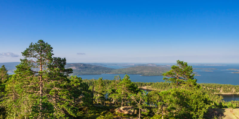 view over Örnsköldsvik view over Örnsköldsvik